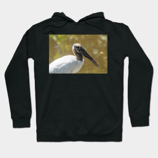 Wood stork in  wildlife preserve Hoodie